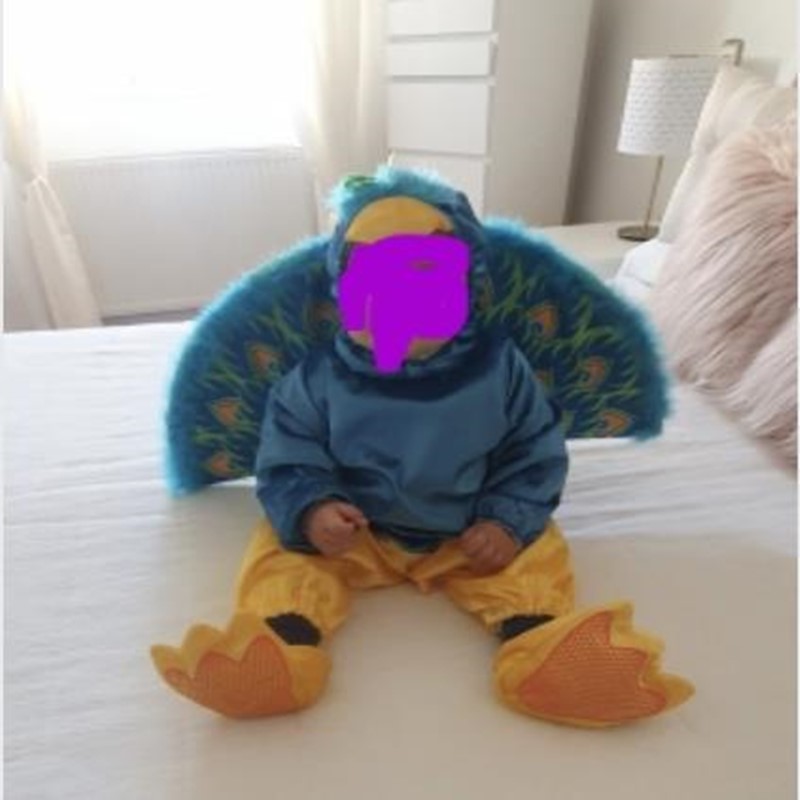 Recién llegado, disfraz de din - Baby Clothing High Quality reseña y precio